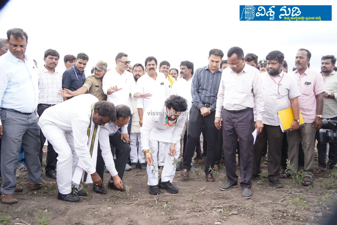 news_1786018760_1_441.webp